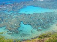  oahu snorkeling